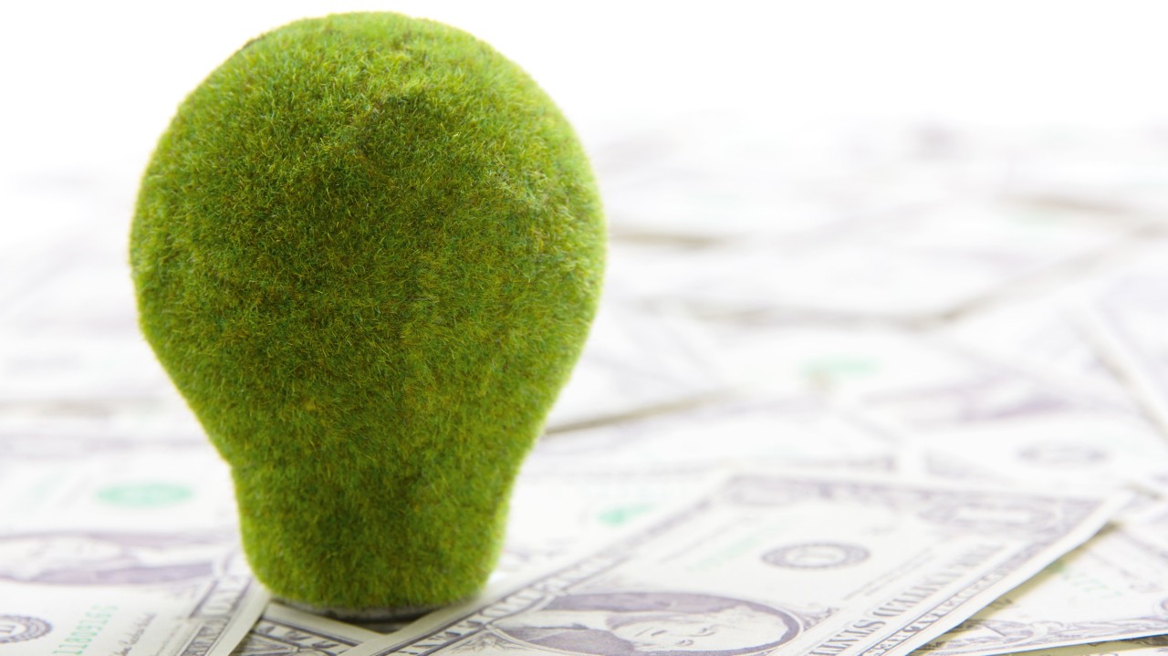 Green Finance at the Crossroads