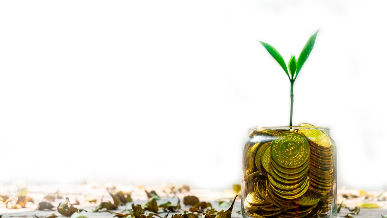 The Financial Alchemy Behind Bioenergy’s Rise