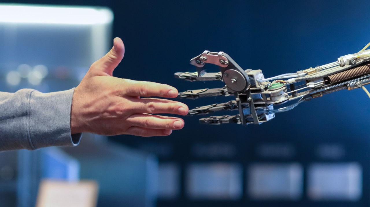 The Human Cost of Digital Transformation