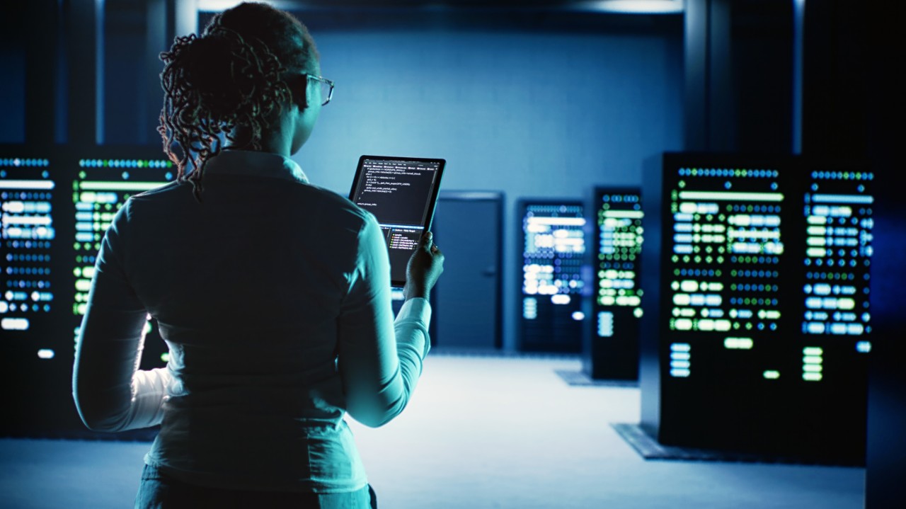 The Silent Sentinel in Digital Space